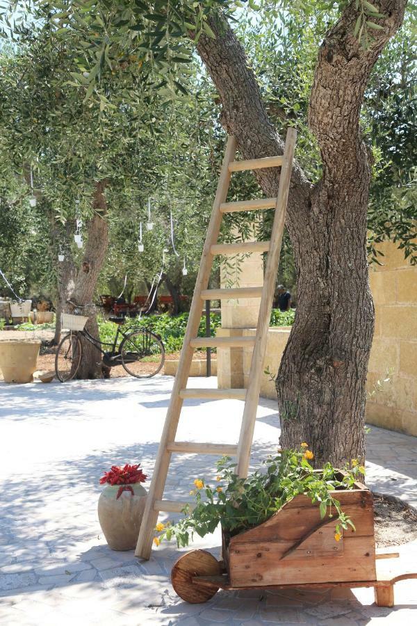 Bed and Breakfast Il Giardino Degli Aromi Cerfignano Zewnętrze zdjęcie